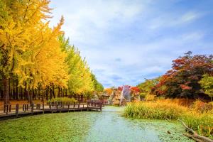 Khám phá Mùa thu Hàn Quốc: SEOUL - NAMI - EVERLAND - STARFIELD